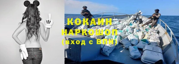 крисы Нея