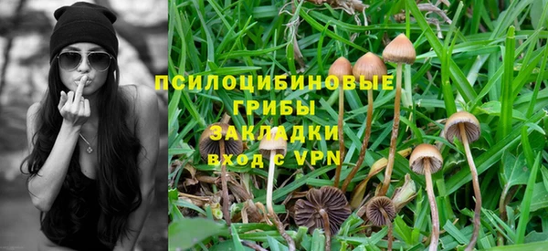 ALPHA-PVP Надым