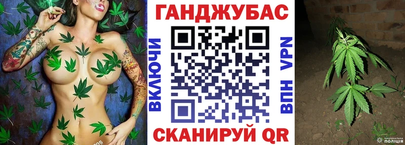 Купить закладки  Инсар  Канабис тримм 